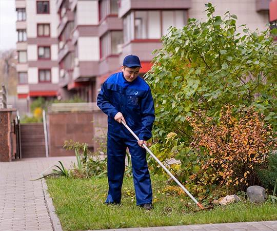 Уборка территории в Королёве и  Московской области